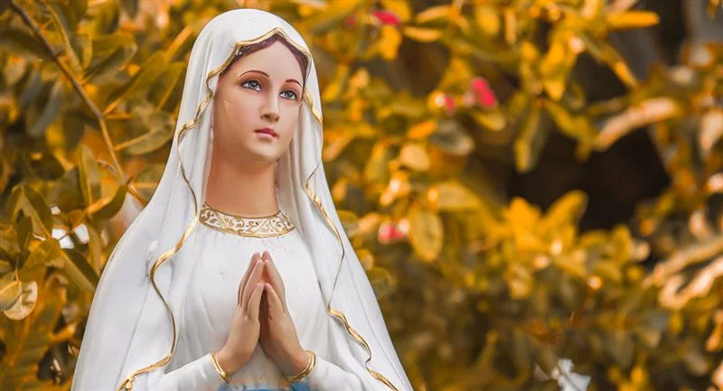 Hoy es la fiesta de Nuestra Señora de Lourdes, Madre Protectora de los enfermos! – Diario Católico