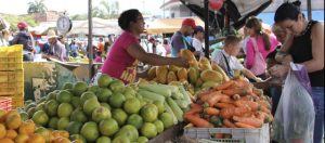 bolsa agrícola de la Grita