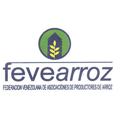 Fevearroz