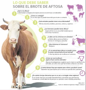 fiebre aftosa
