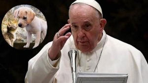 Por qué humanizar a los animales es un maltrato animal
