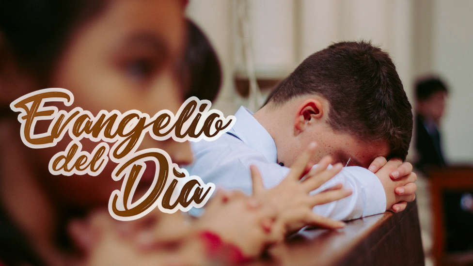 Evangelio de hoy 12 de Julio de 2022 Diario Católico