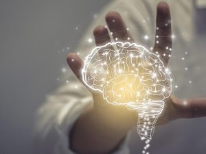 El cerebro no es solo neuronas