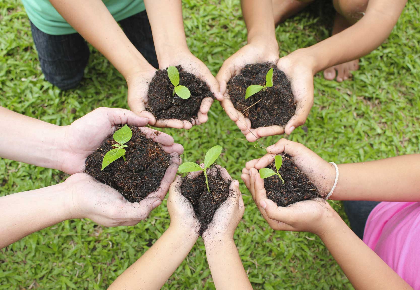 ¿Qué Es La Ecología Humanista Cristiana? - Diario Católico